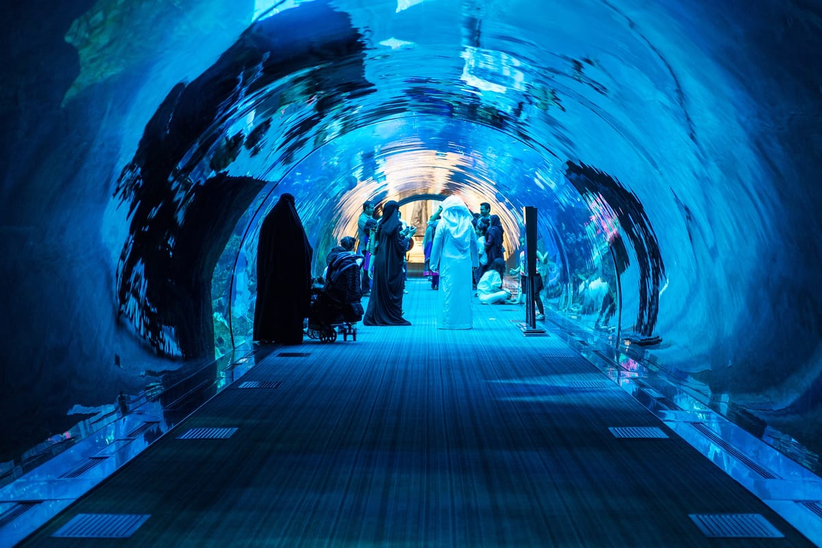 dubai-aquarium-and-underwater-zoo_1